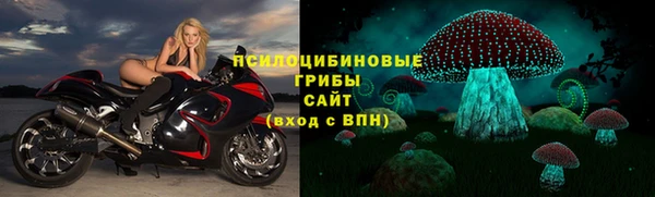 PSILOCYBIN Няндома