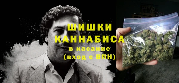 PSILOCYBIN Няндома