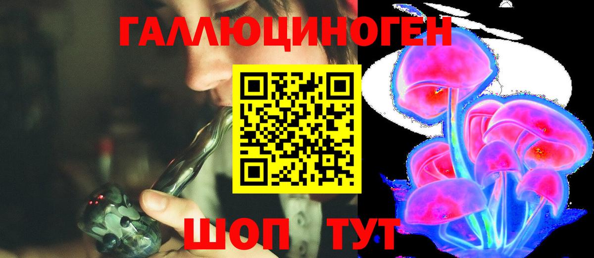Павлово  хочу   Псилоцибиновые грибы прущие грибы  Вход с VPN  Галлюциногенные грибы Psilocybe 
