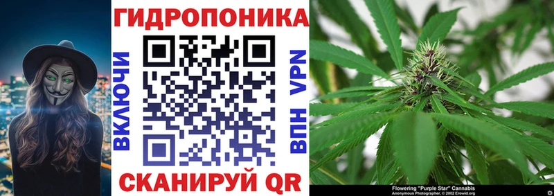 даркнет сайт kraken ONION Бошки марихуана White Widow Павлово